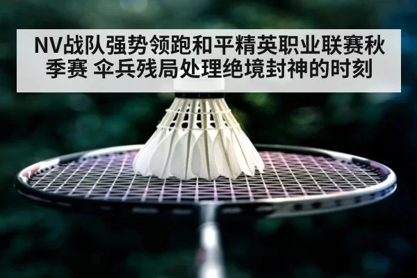 NV战队强势领跑和平精英职业联赛秋季赛 伞兵残局处理绝境封神的时刻